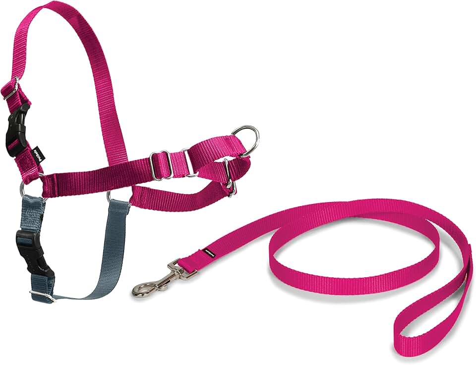 PetSafe Easy Walk Arnés Antitirones 4 Puntos, M, Frambuesa