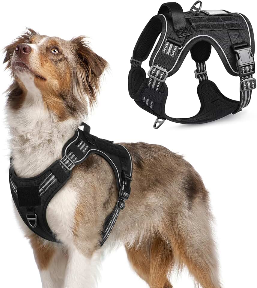 rabbitgoo Arnés Táctico Ajustable con Asa y Molle, M, Negro